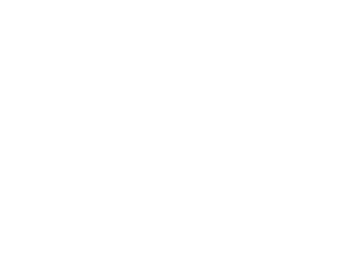 Protherium