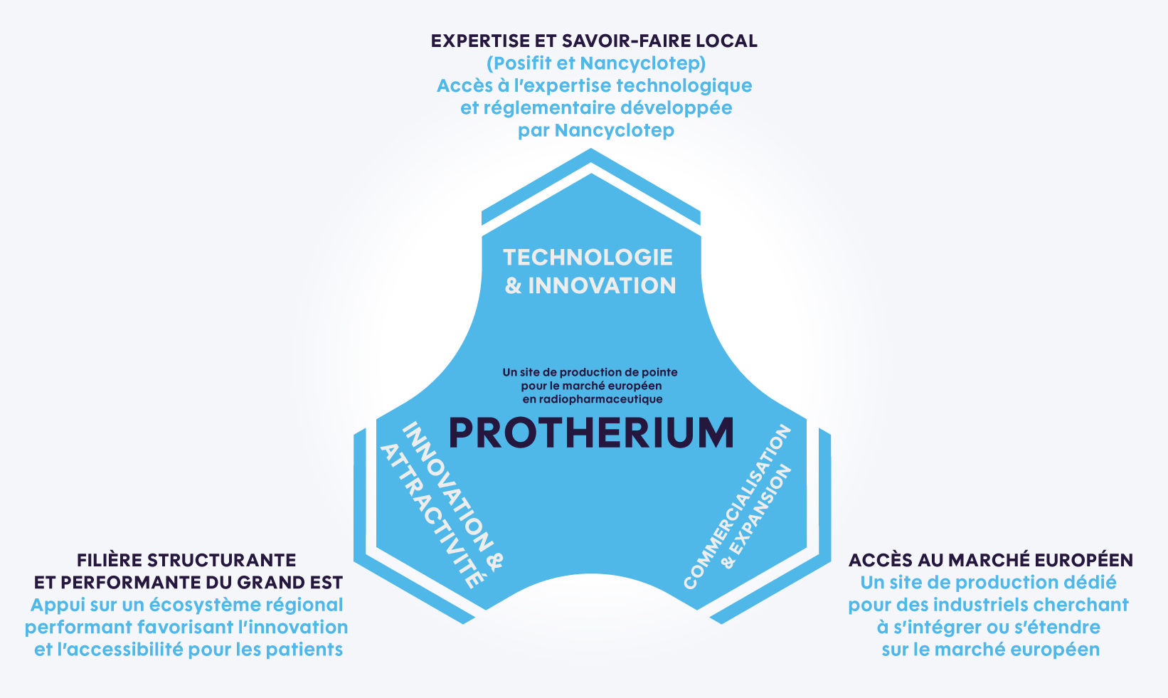 schema_protherium-fr